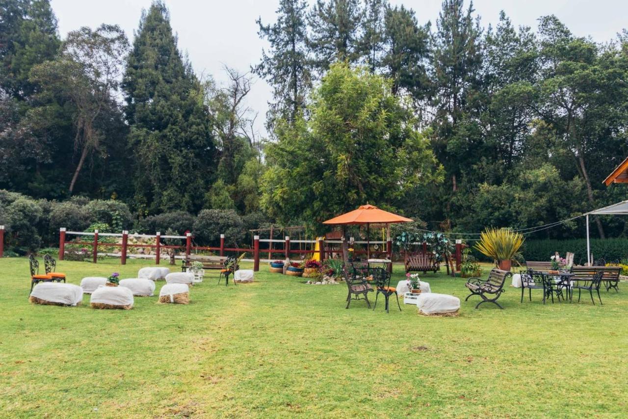 Hacienda Moncora, Un Lugar Hermoso Toda La Familia Y Amigos Lodge