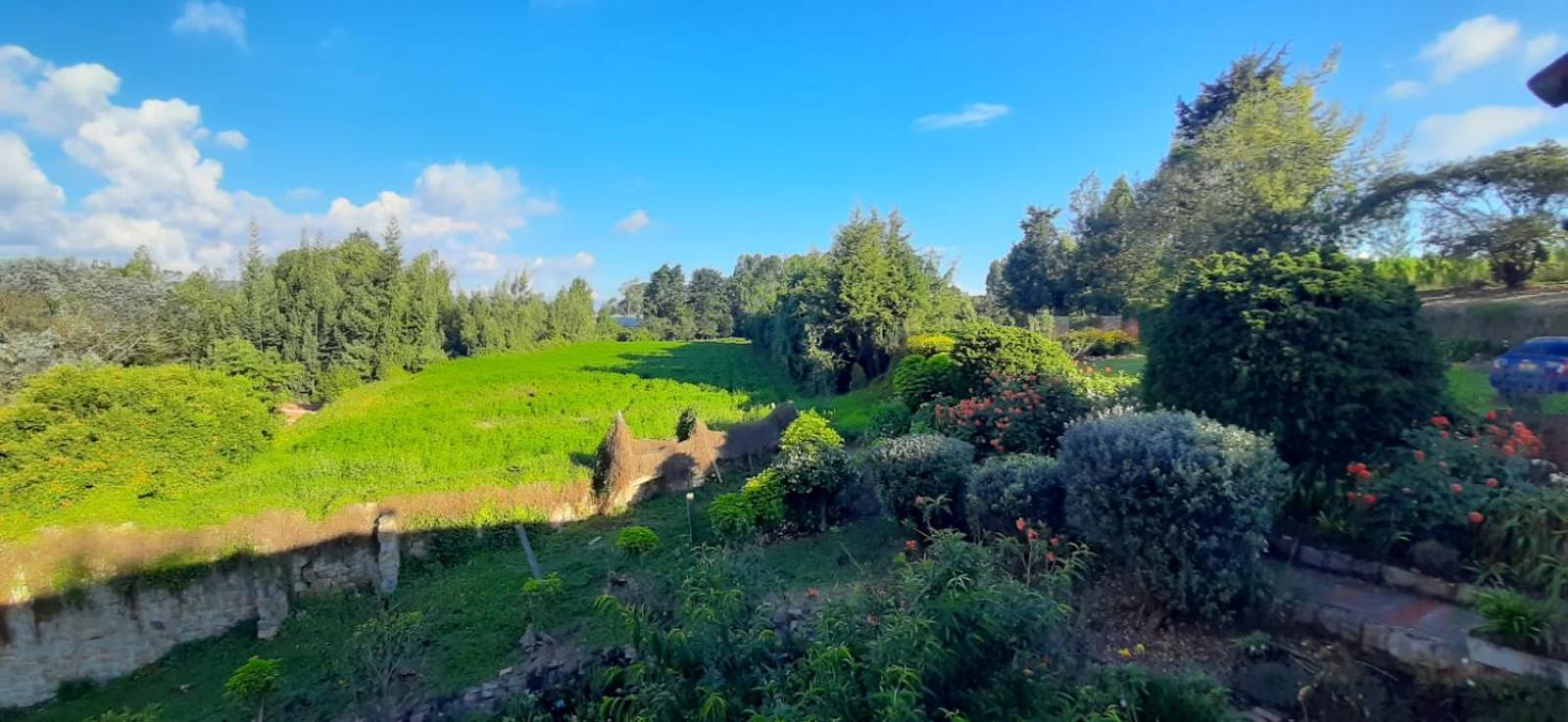 Hacienda Moncora, Un Lugar Hermoso Toda La Familia Y Amigos *